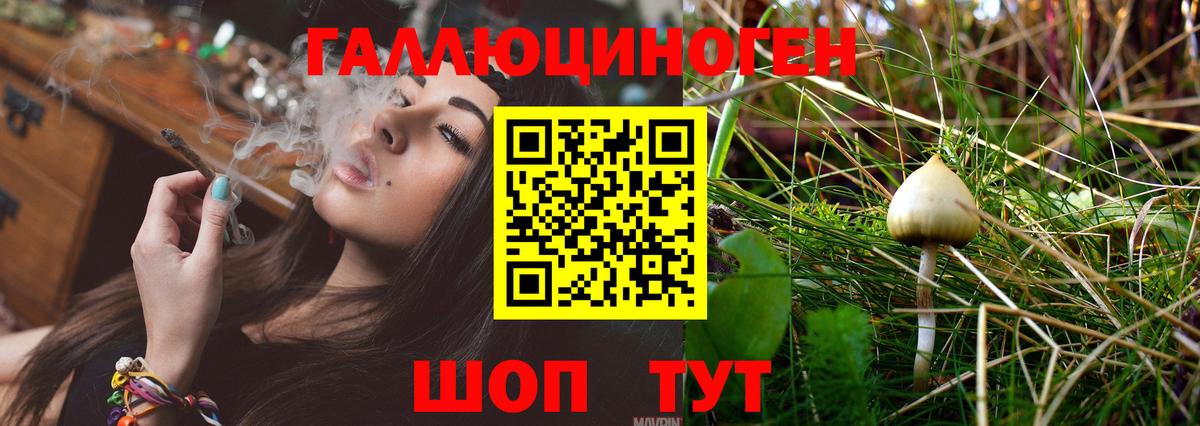Самара  Галлюциногенные грибы MAGIC MUSHROOMS  Галлюциногенные грибы Psilocybine cubensis  хочу   Вход с VPN 